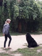 Превью фото № 229420