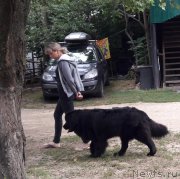 Превью фото № 229421