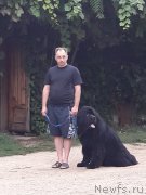 Превью фото № 229428