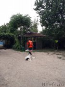 Превью фото № 229429