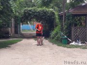 Превью фото № 229430