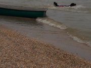 Превью фото № 229452