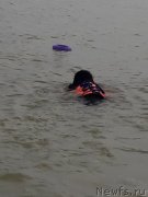 Превью фото № 229454