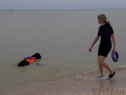 Превью фото № 229458