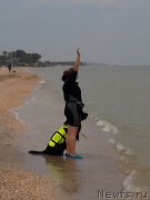 Превью фото № 229463