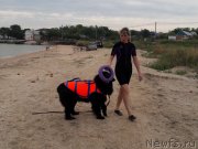 Превью фото № 229466