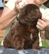 Превью фото № 229482