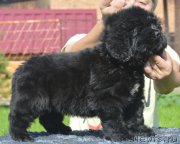 Превью фото № 229490