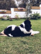 Превью фото № 229507