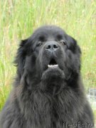 Превью фото № 229526