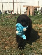 Превью фото № 229543