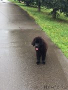 Превью фото № 229577