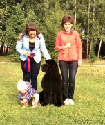 Превью фото № 229648