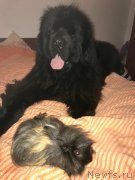 Превью фото № 229665