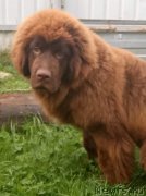 Превью фото № 229692