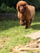 Превью фото № 229694