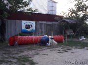 Превью фото № 229725