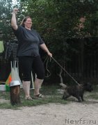 Превью фото № 229728