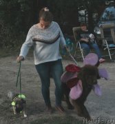 Превью фото № 229730