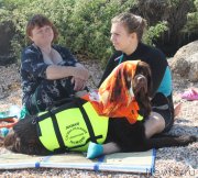 Превью фото № 229739