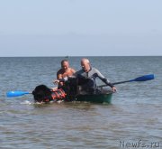 Превью фото № 229756