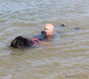 Превью фото № 229762