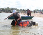 Превью фото № 229768