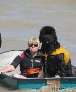 Превью фото № 229775