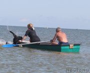 Превью фото № 229776