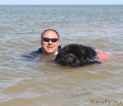 Превью фото № 229781