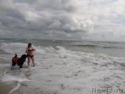 Превью фото № 229810