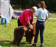 Превью фото № 229822