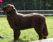 Превью фото № 229823