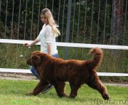 Превью фото № 229836