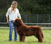 Превью фото № 229837