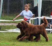 Превью фото № 229840