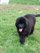 Превью фото № 229869