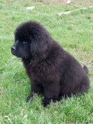 Превью фото № 229870