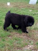 Превью фото № 229872