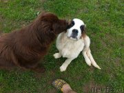 Превью фото № 229899