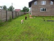 Превью фото № 229901