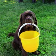 Превью фото № 229904