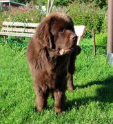 Превью фото № 229905