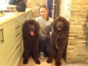 Превью фото № 229933