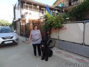 Превью фото № 229941