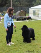 Превью фото № 229953