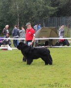 Превью фото № 229955