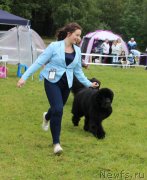 Превью фото № 229963