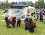 Превью фото № 229971