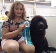 Превью фото № 229980